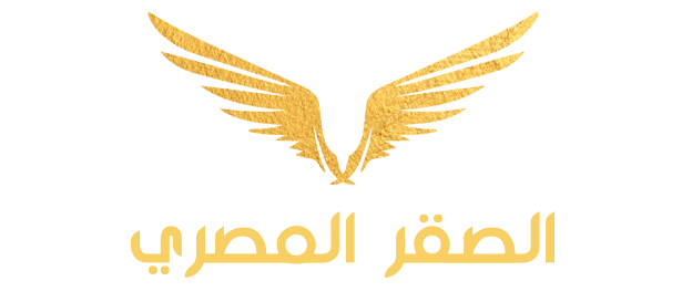 logo2