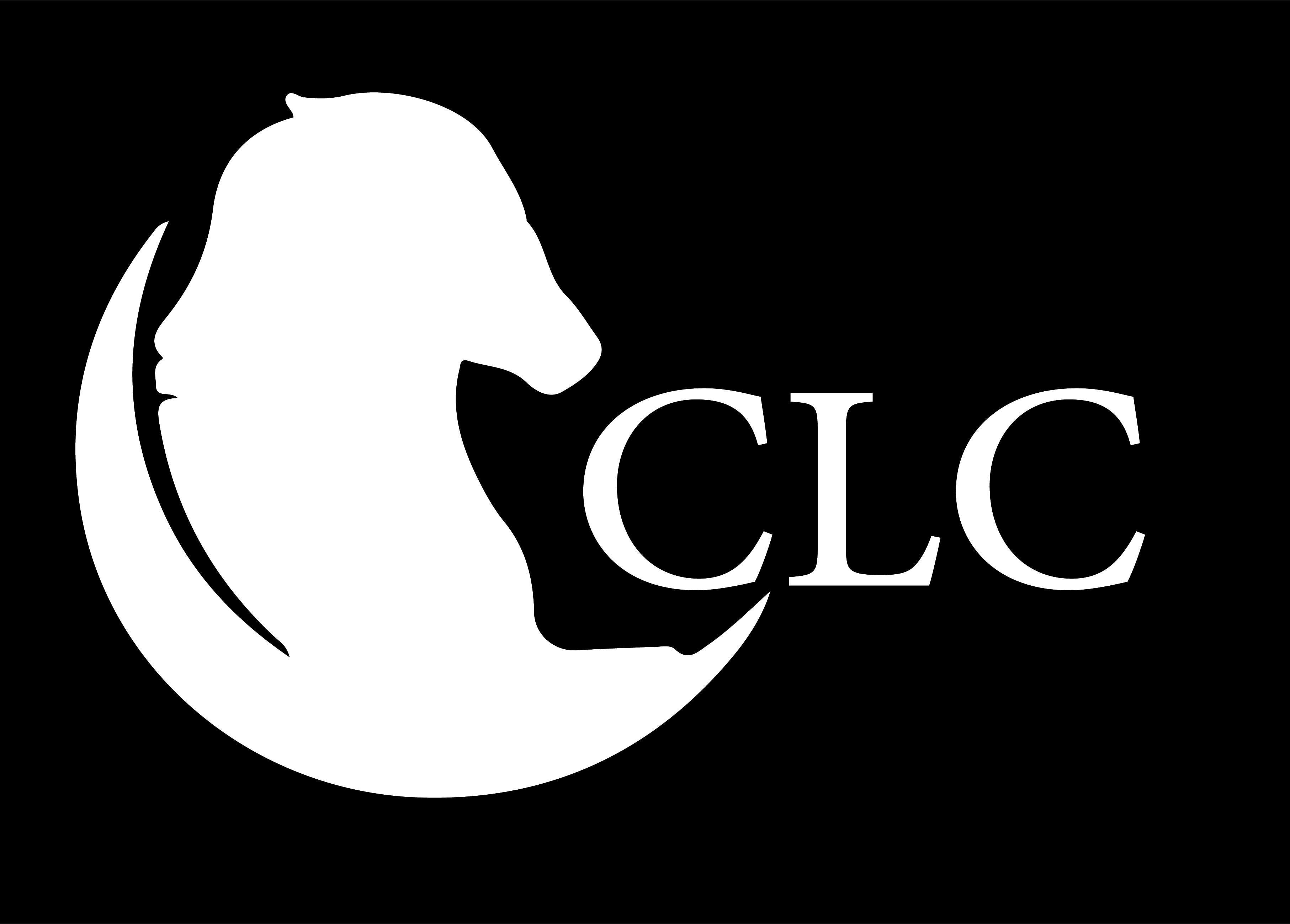 Capital leading company (CLC) - العاصمة للمقاولات والتوريدات-factoryyard